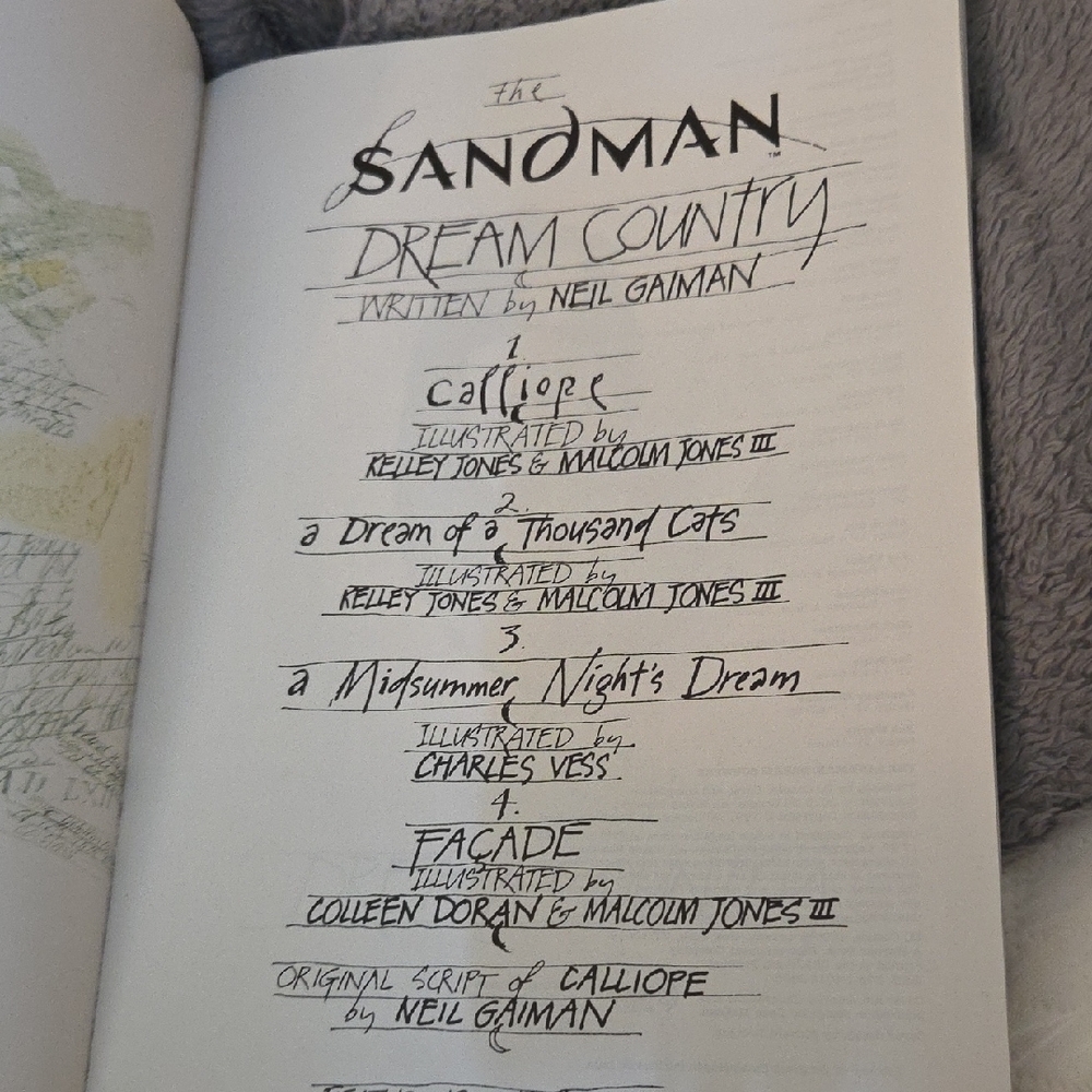 Sandman Graphic Novels by Neil Gaiman - Picture 7 of 12
